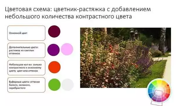 Как подобрать цвета и текстуры растений для создания гармоничного цветника у вашего коттеджа