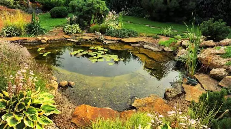 Как создать садовый пруд на приусадебном участке вашего таунхауса