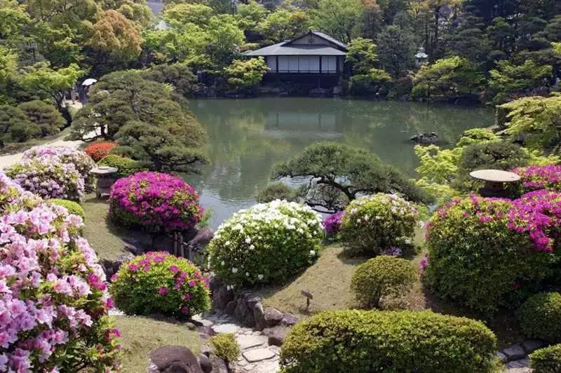 Секреты Создания Японского Сада Во Дворе Таунхауса
