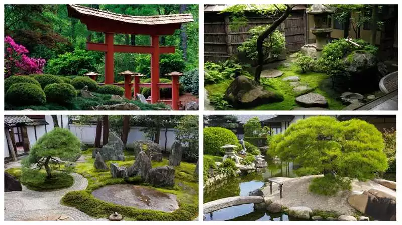 Как создать японский сад во дворе таунхауса секреты и техники